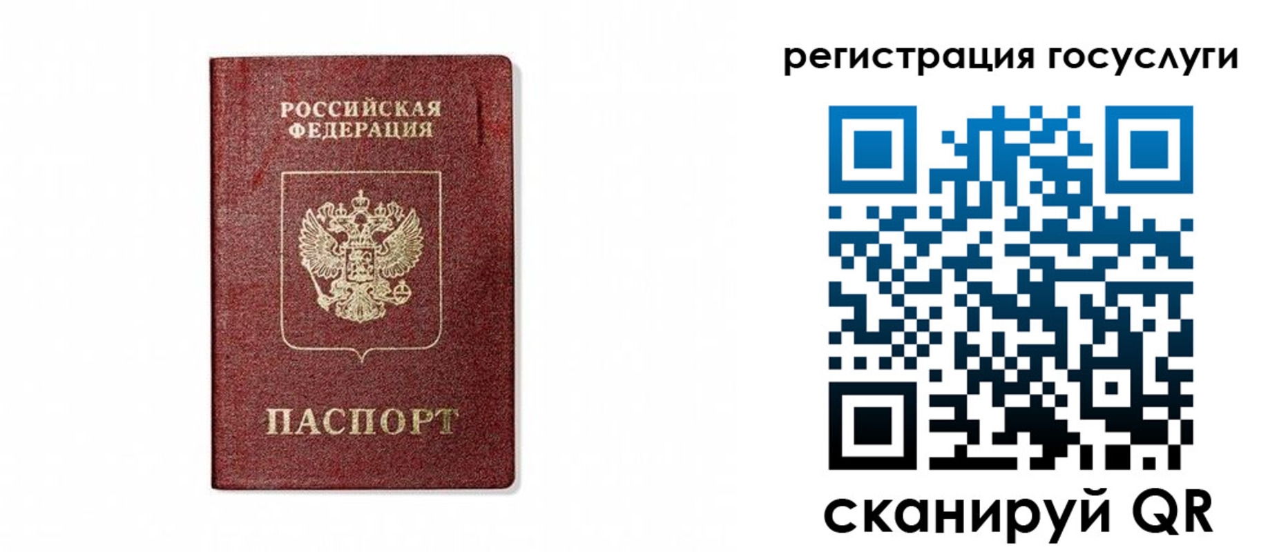 прописка паспорт в Торопеце